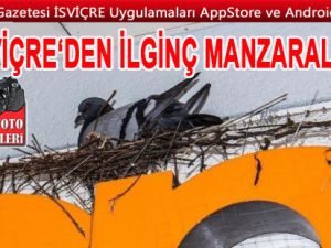 İSVİÇRE'DEN İLGİNÇ MANZARALAR