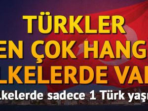 Türkler en çok hangi ülkelerde var?