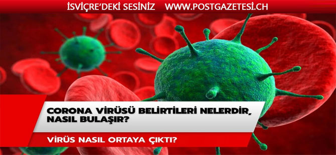 Corona virüsü belirtileri nelerdir? Corona virüsü nasıl bulaşır? Corona virüsü nasıl ortaya çıktı?