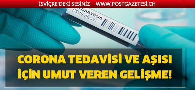 Umut veren gelişme: İki aşı için testler başladı