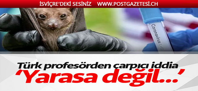 Türk profesörden çarpıcı iddia: Yarasa değil domuz!