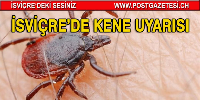 Dikkatli olunuz zira İsviçre’de Kene mevsimi başladı