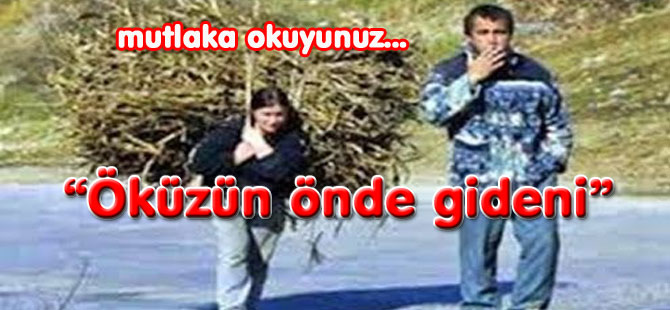 "Öküzün önde gideni"