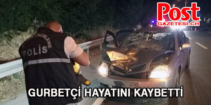 Otomobilin çarptığı gurbetçi hayatını kaybetti