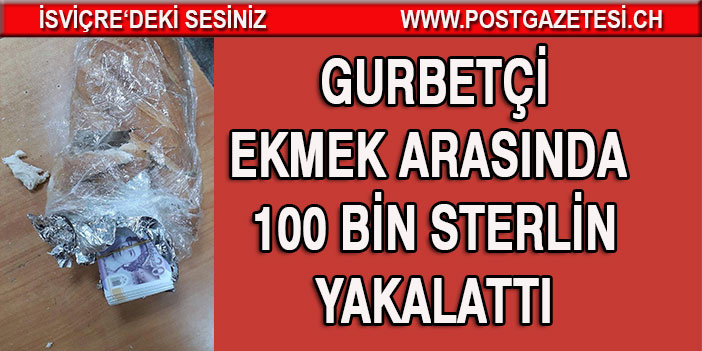 Gurbetçi Sırp sınırınada 100 bin sterlin yakalattı