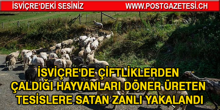 İsviçre'nin 'gizemli' hayvan hırsızı yakalandı