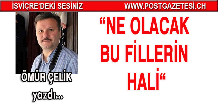 Ne olacak bu fillerin hali