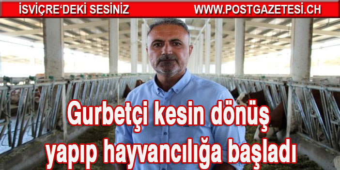 Gurbetçi kesin dönüş yapıp hayvancılığa başladı