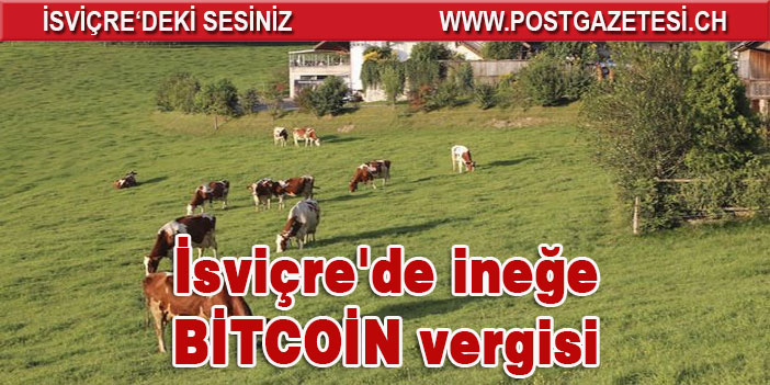 Bitcoin'den ineğe İsviçre'de varlık vergisi