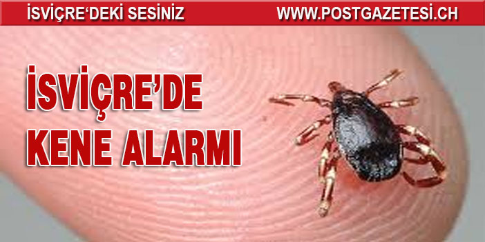 İSVİÇRE’DE KENE ISIRMASI VAKALARI ÇOĞALDI