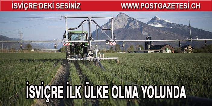 İsviçre, Avrupa'da pestisit tarım ilaçlarını yasaklayan ilk ülke olma yolunda