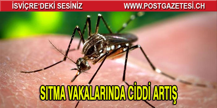 Sıtma vakalarında çok artış var