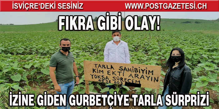 Gurbetçi memleketi Bursa'ya geldi tarlasını görünce şoke oldu: Komik bir durum