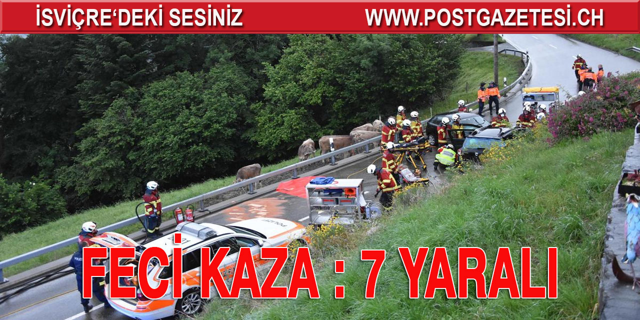 DOĞU İSVİÇRE'DE FECİ KAZA : 7 YARALI