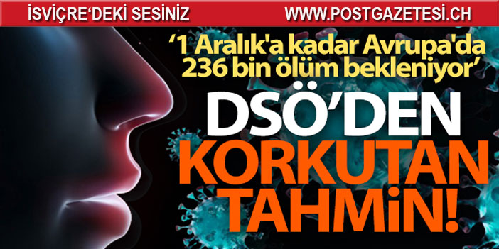 DSÖ Avrupa: 'Tahminlere göre 1 Aralık'a kadar Avrupa'da 236 bin ölüm bekleniyor'