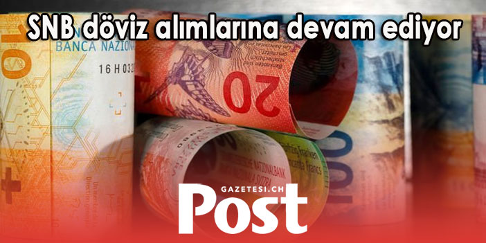 İsviçre Merkez Bankası döviz alımlarına devam ediyor