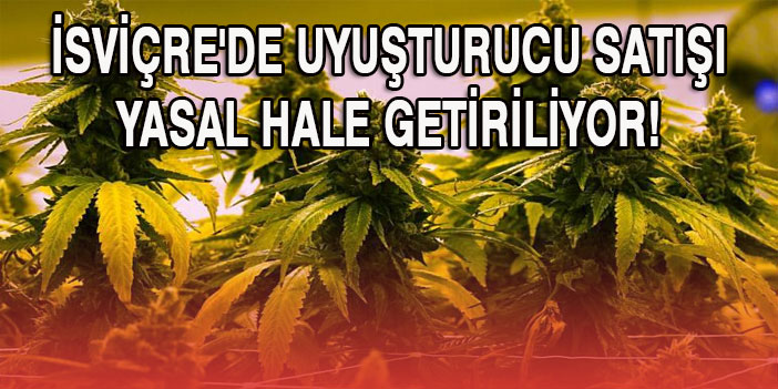 İsviçre'de uyuşturucu satışı yasal hale getiriliyor!