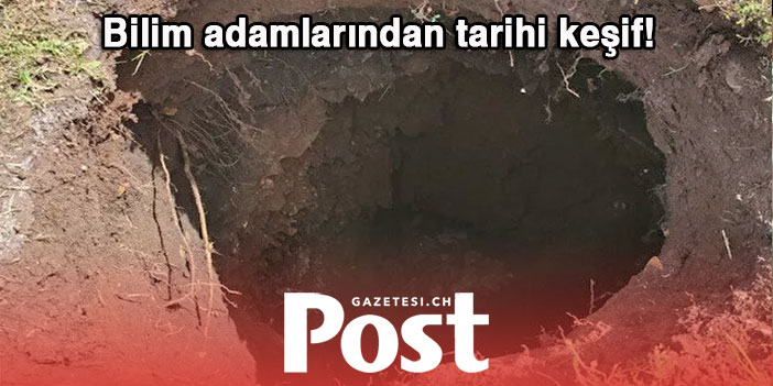 Bilim adamlarından tarihi keşif! Kazıdan dünyanın en büyük canlısı çıktı