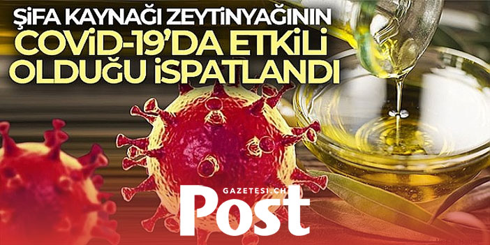 Zeytinyağının Covid-19 tedavisinde etkili olduğunu bilimsel olarak ispatladılar