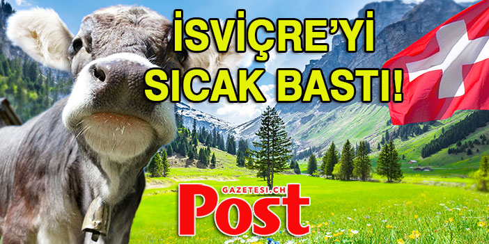 İSVİÇRE’Yİ SICAK BASTI