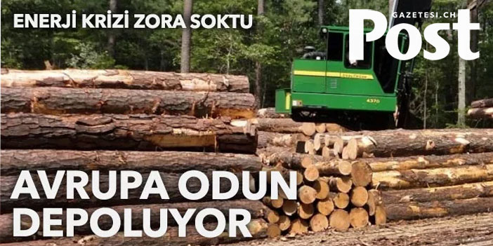 Avrupa'da gaz krizi: Odun depolamaya başladılar