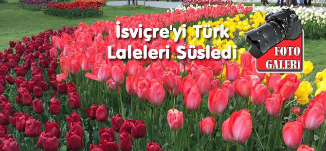 İSVİÇRE’Yİ TÜRK LALELERİ SÜSLEDİ