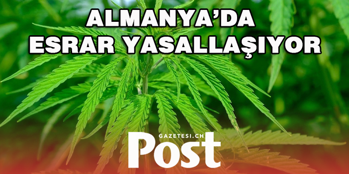 Almanya'da hükümet esrarın yasallaştırılması için harekete geçti