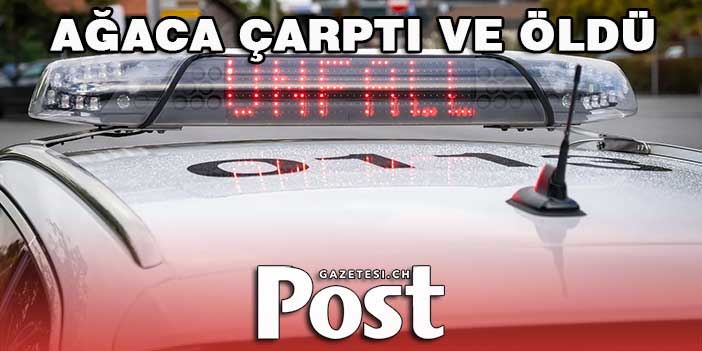 AĞACA ÇARPTI VE ÖLDÜ