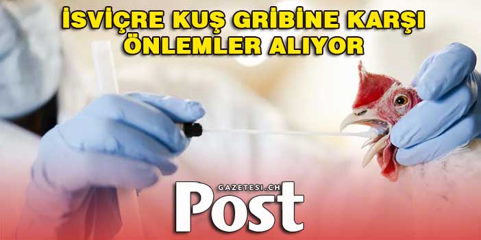 İsviçre genelinde kuş gribine karşı önlemler alıyor