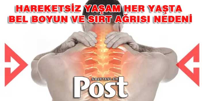 Hareketsiz Yaşam Her Yaşta Bel Boyun ve Sırt Ağrısı Nedeni