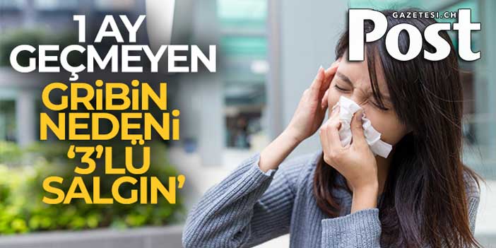 1 ay geçmeyen gribin nedeni '3'lü salgın'