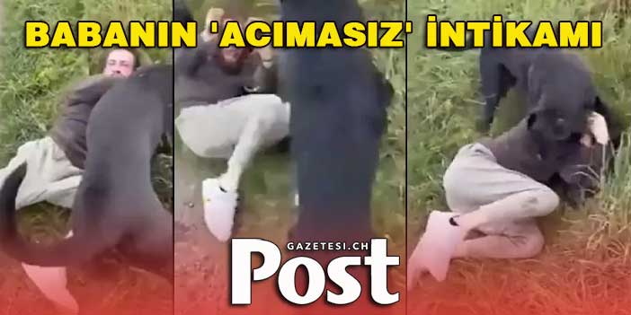 Babanın 'acımasız' intikamı: 12 yaşındaki kızıyla buluşmaya gelen kişiyi köpeklerine parçalattı