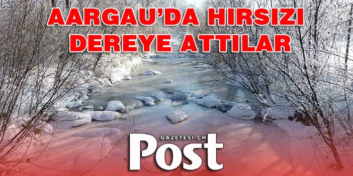 AARGAU’DA HIRSIZI DEREYE ATTILAR