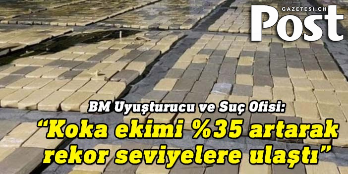 Küresel kokain üretimi rekor seviyeye ulaştı