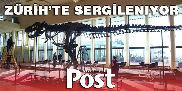 Dev dinozor iskeleti müzayede öncesi İsviçre'de sergileniyor