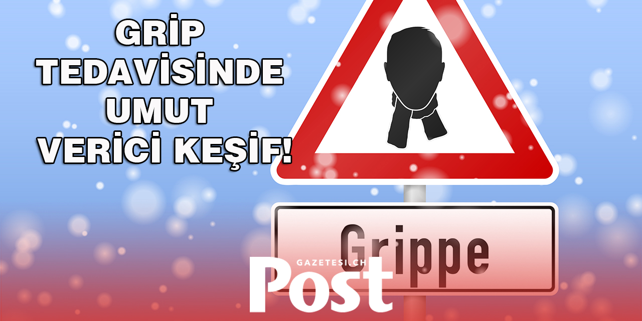 Grip Tedavisinde Umut Verici Keşif!