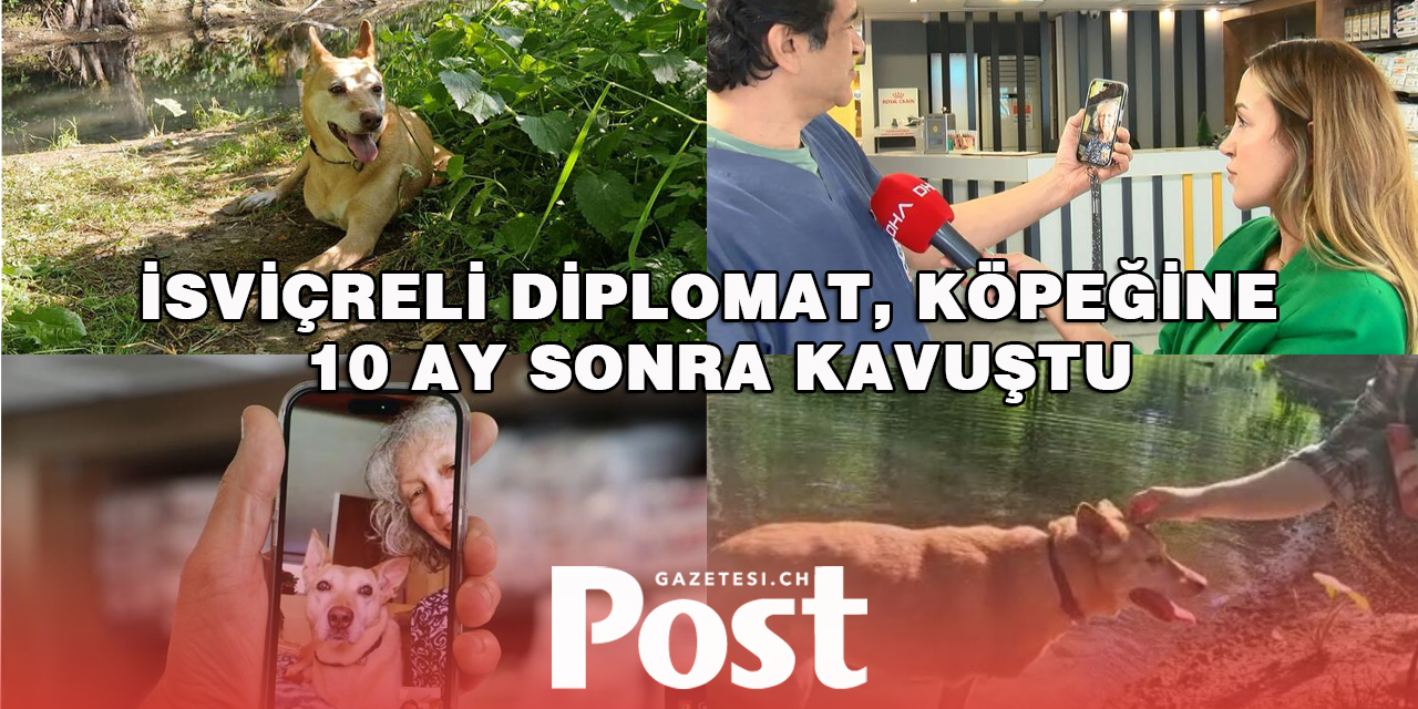 İsviçreli diplomat, köpeğine 10 ay sonra kavuştu