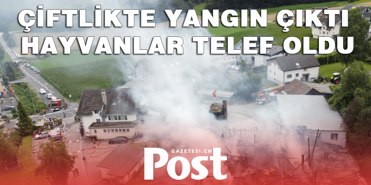 ÇİFTLİKTE YANGIN ÇIKTI HAYVANLAR TELEF OLDU