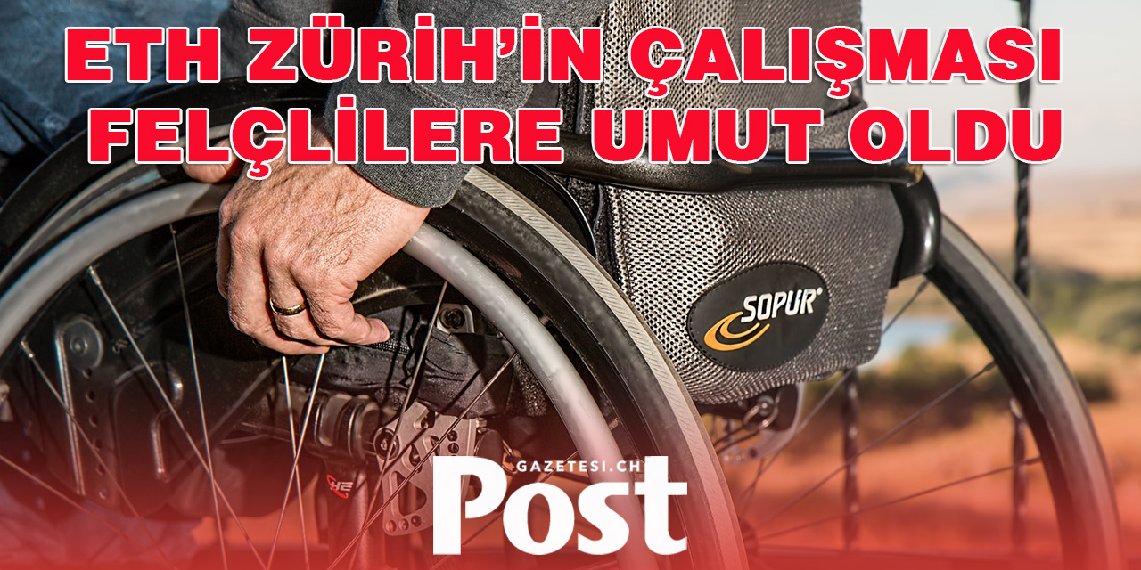 ETH Zürih’in çalışması felçlilere umut oldu