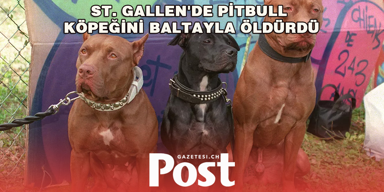 St.Gallen'de bir adam pitbull köpeği baltayla döverek öldürdü