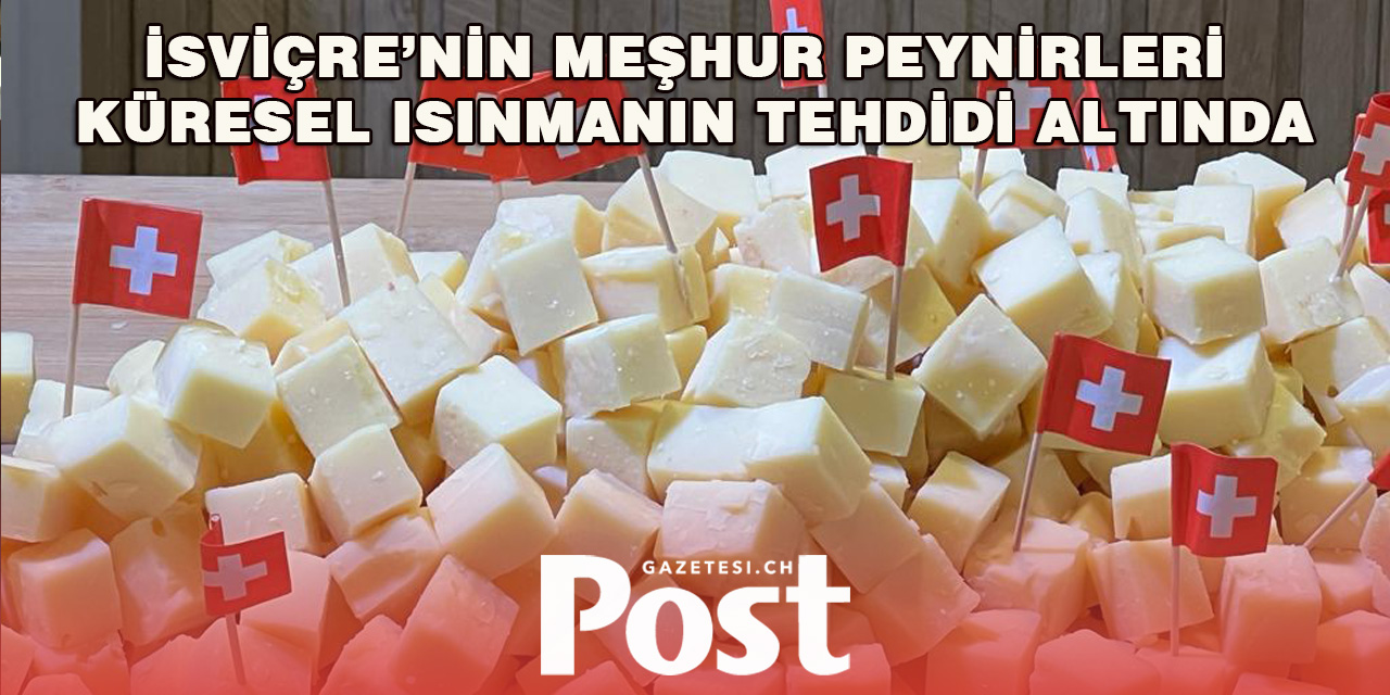 İsviçre’nin Meşhur Peynirleri Küresel Isınmanın Tehdidi Altında