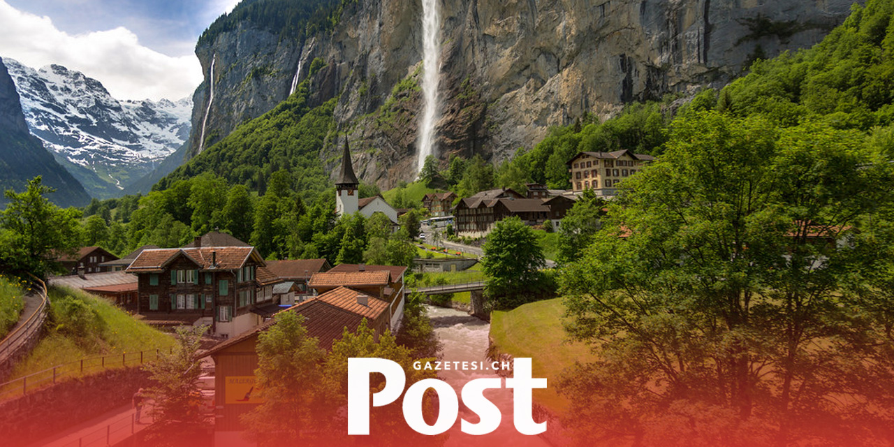 İsviçre, 'edelweiss' bitkisini korumak için turist erişimini kısıtlıyor