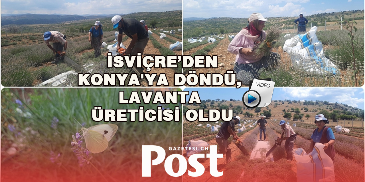 Gurbetçi kadın, terapi sayesinde tanıştığı lavantanın üreticisi oldu