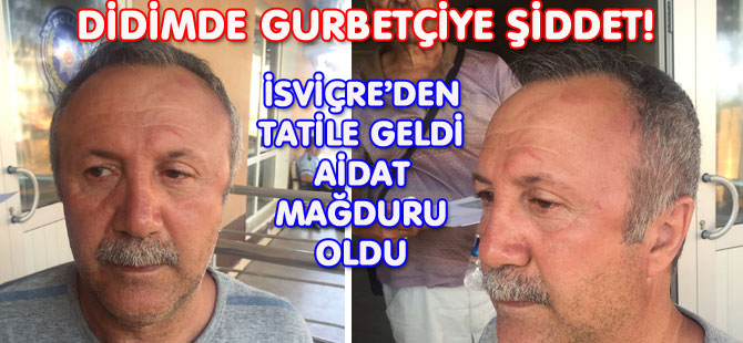 DİDİMDE GURBETÇİYE ŞİDDET!