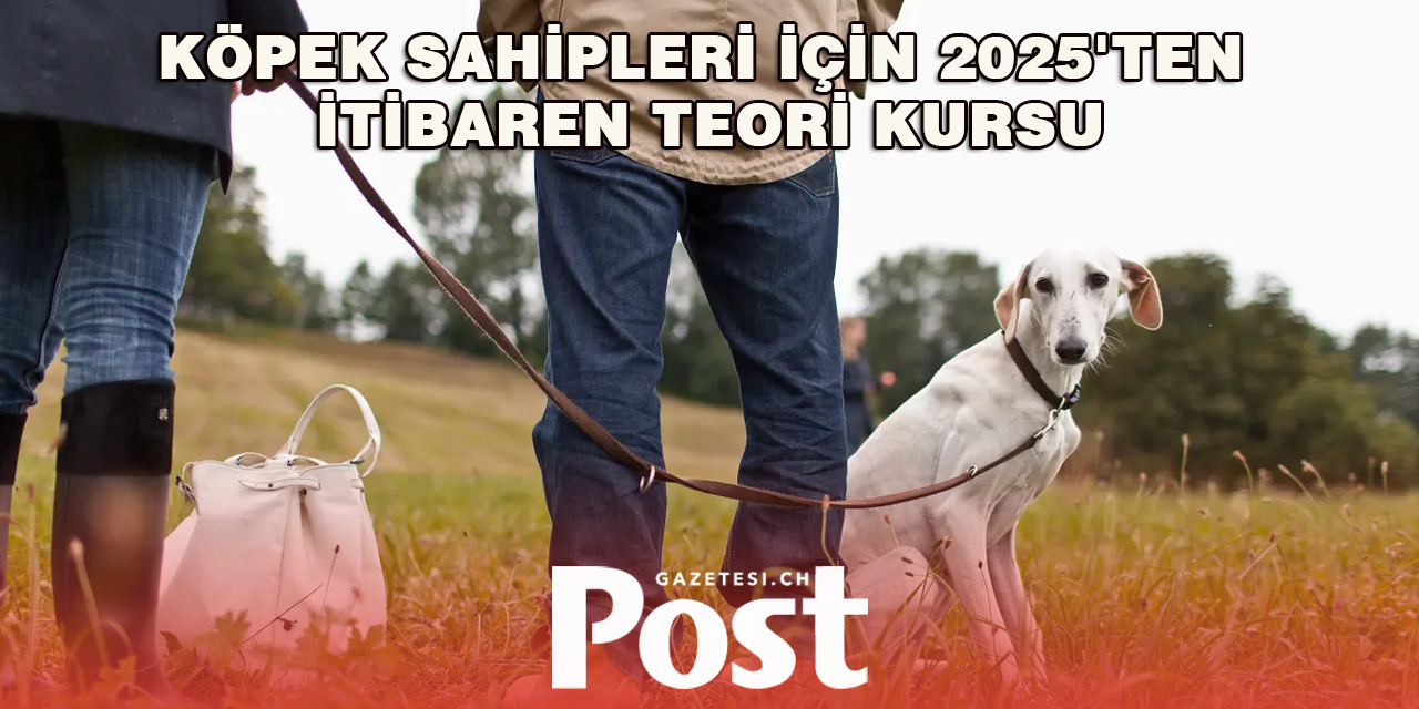 Zürih’te Köpek Sahipleri İçin Teorik Eğitim Zorunluluğu Geliyor