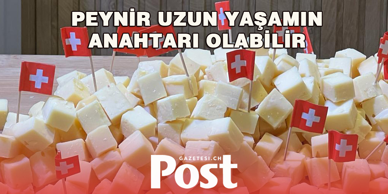 Peynir Zihinsel Sağlığı Güçlendirerek Ömrü Uzatabilir