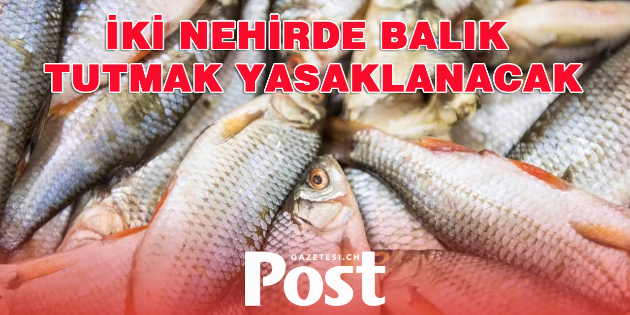 PFAS Kirliliği Nedeniyle İki İsviçre Nehrinde Balık Avı Yasaklanacak