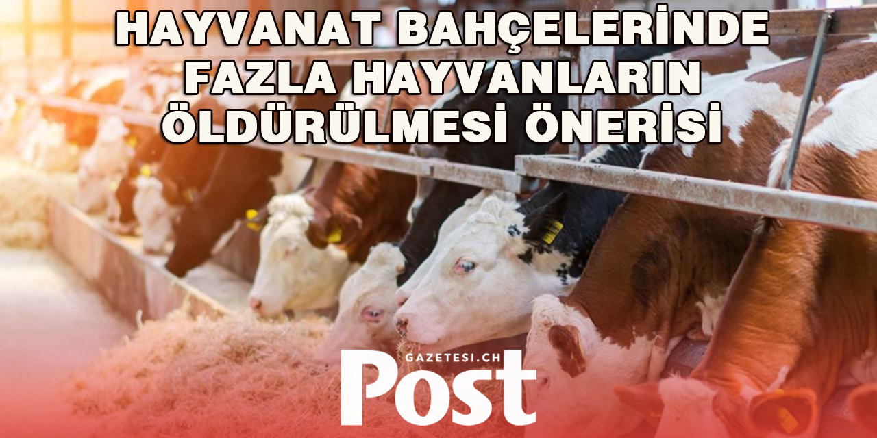 Zürihli Araştırmacılardan Hayvan Nüfusu Kontrolü İçin Radikal Öneri