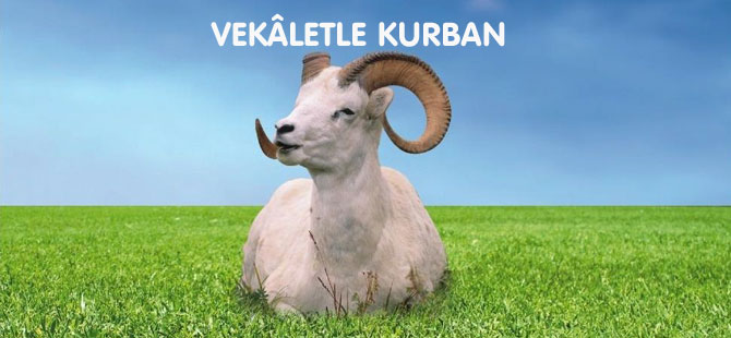 Vekaletle Kurban Kesilir mi..?