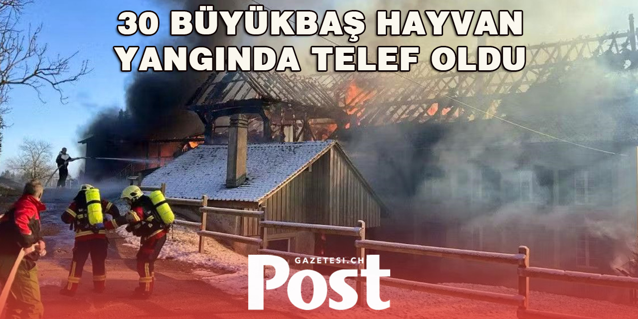 Waadt’da Yangın: 30’a Yakın Hayvan Telef Oldu